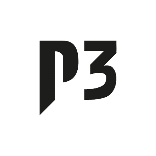 P3 group GmbH Logo